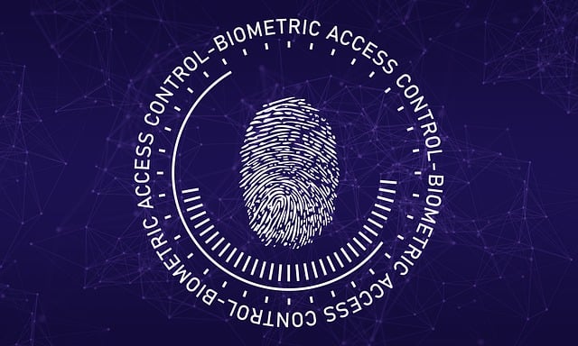 The benefits and challenges of using biometric authentication in cybersecurity