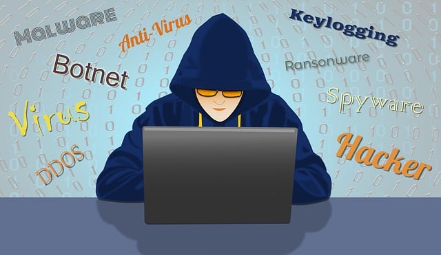 The role of government and law enforcement in combating cybercrime